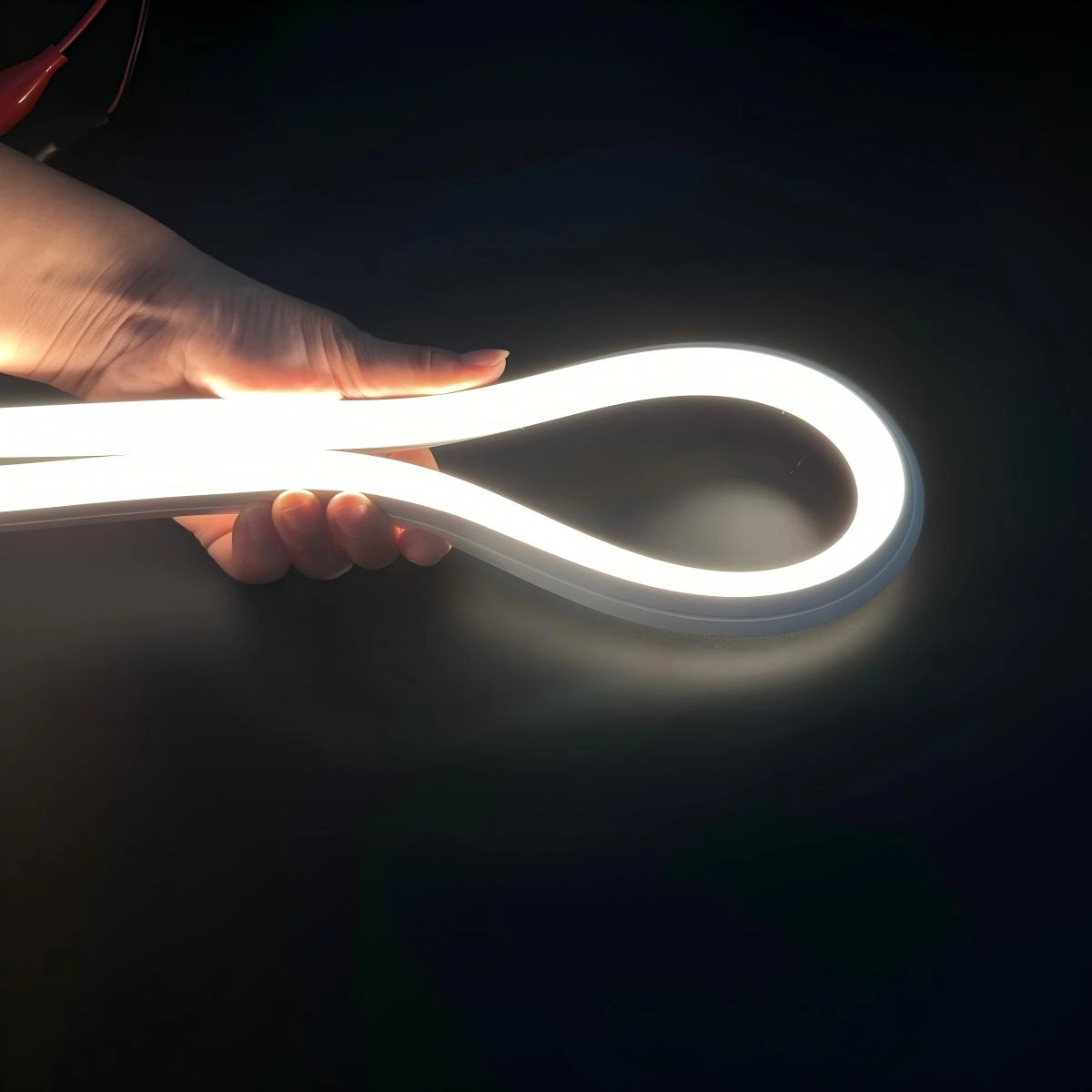 Waterproof LED Neon Flexible Strip Light Waterproof LED Neon Flexible Strip Light
