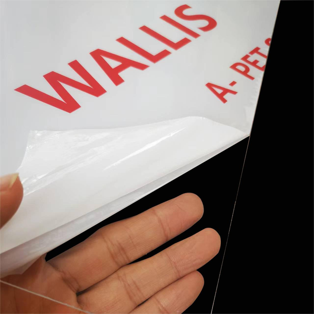 Anti-Static Electronics Medical Packaging Pet Sheet for Blister Packing-Wallis