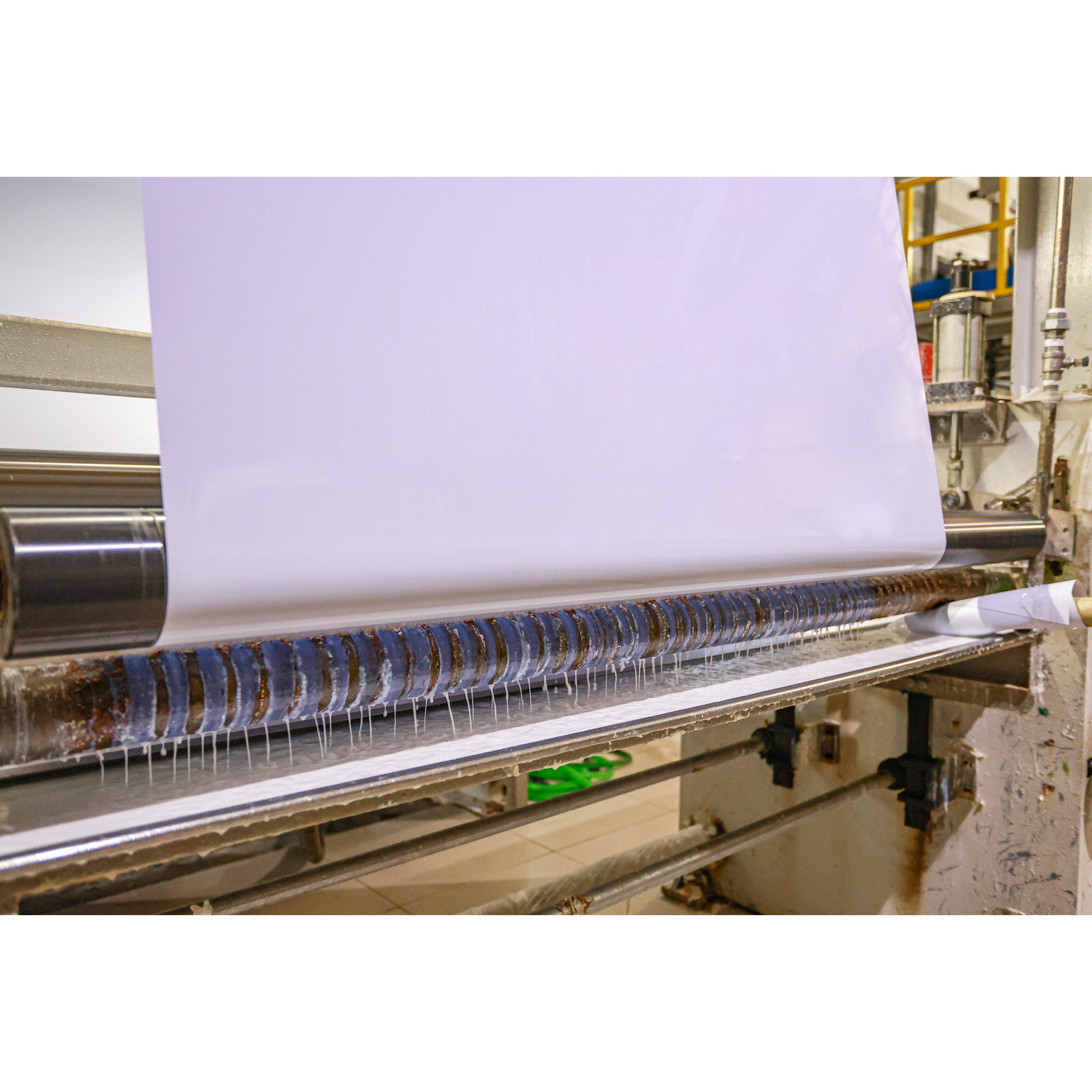 Wallis eco-friendly factory 3