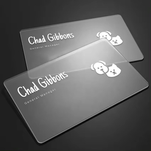 Best Quality PVC PET Clear Frosted Card with Customized Logo