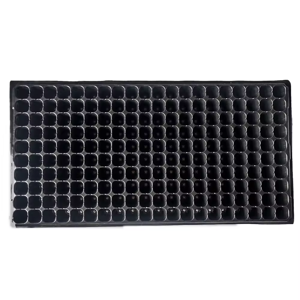 Customized Size RPET Sheet for Blister Box Seed Tray