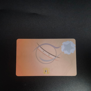 Customized Logo UV Light Microprinting Printing Plastic Security Card