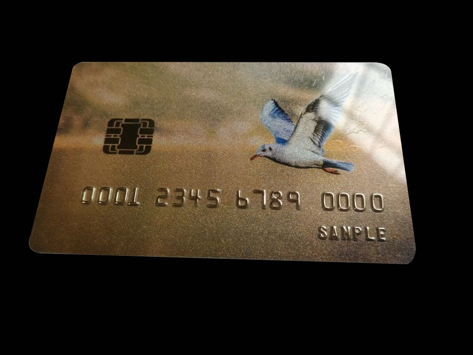 High Quality Silkscreen Glodern Silver PVC Plastic Bank Card