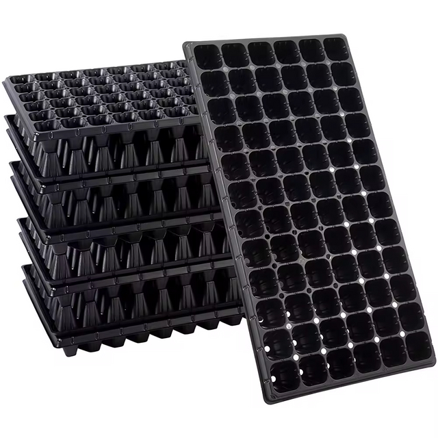 Customized Size RPET Sheet for Blister Box Seed Tray