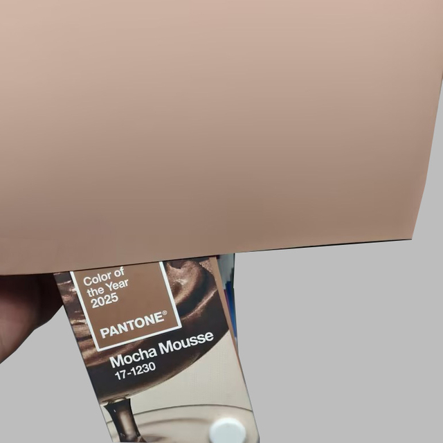 2025 Trend Color: Mocha Mousse PETG Sheets for Furniture Panels