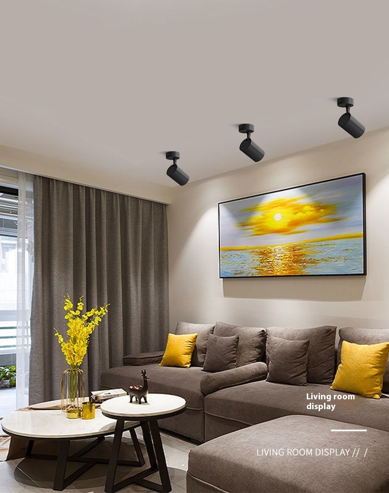 Track light application 