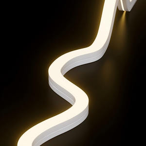 Waterproof LED neon flexible led strip light for 12V/24V Wallis custom 