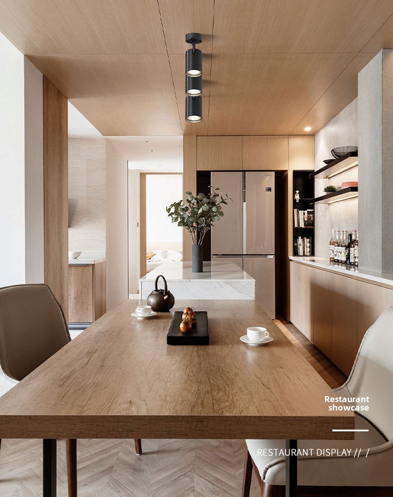 Track light application 