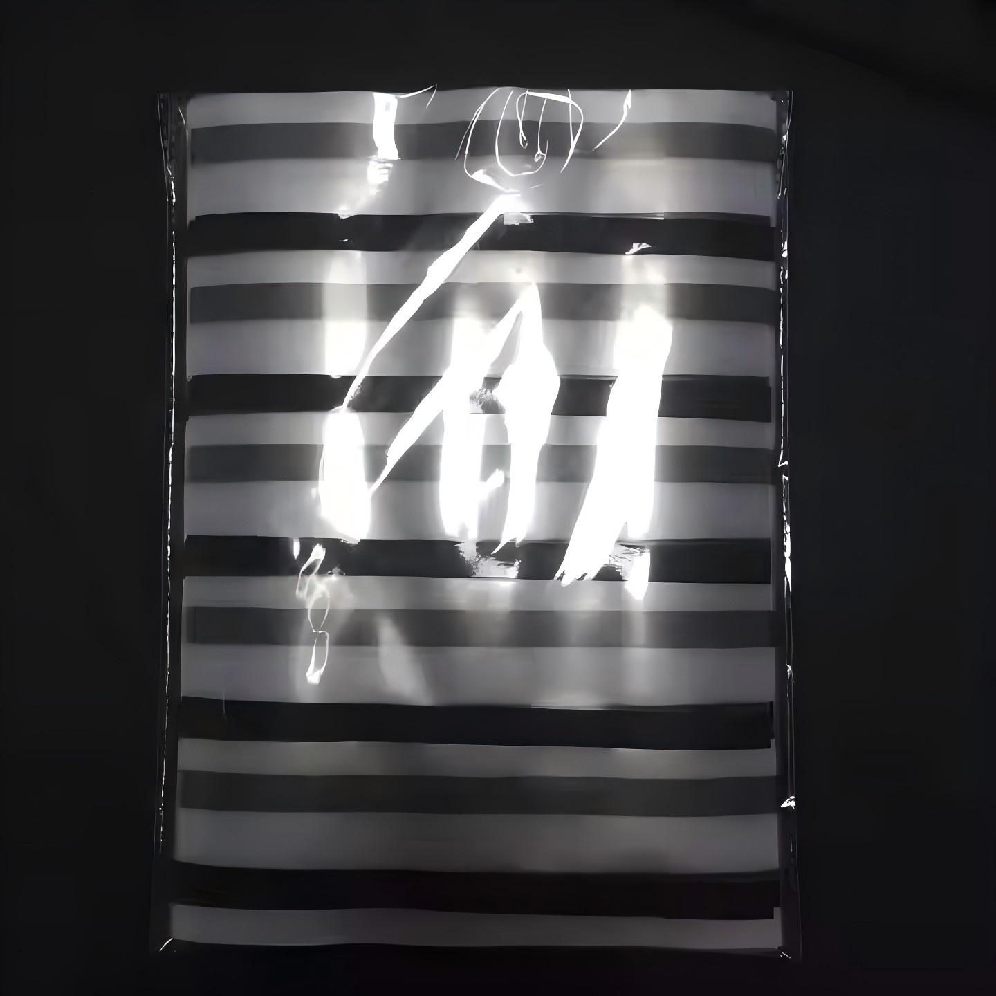 Magnetic Strip Film 